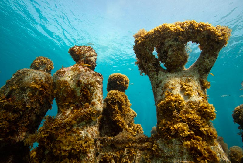 Snorkeling in Cancun, Things to do Cancun