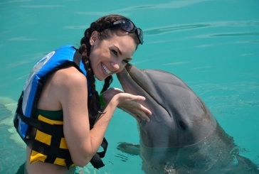 Nado con delfines en Cancún