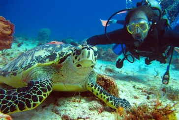 Deportes Acuáticos en Cancún