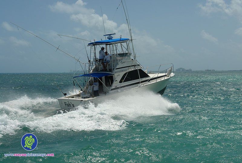 Foto 1 de Cancun Sea Trolling or Sport Fishing Charter- 34ft (9 people)
