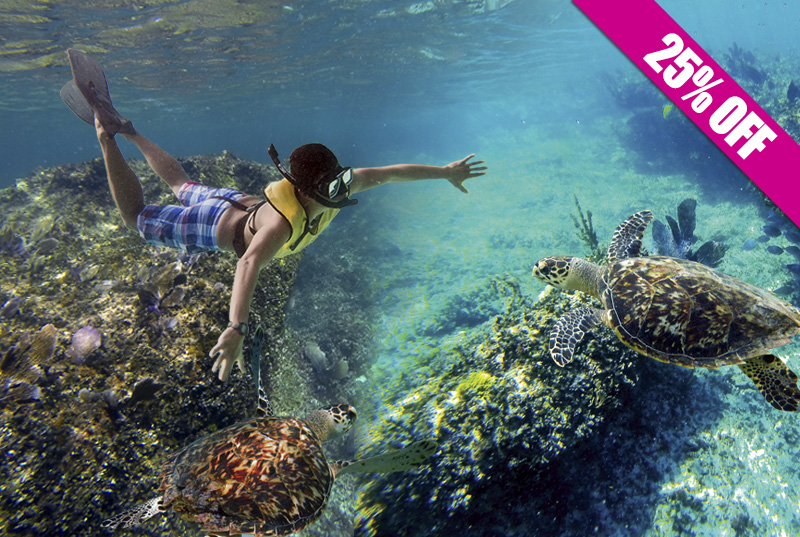 Tour de Snorkel en Aguas Profundas
