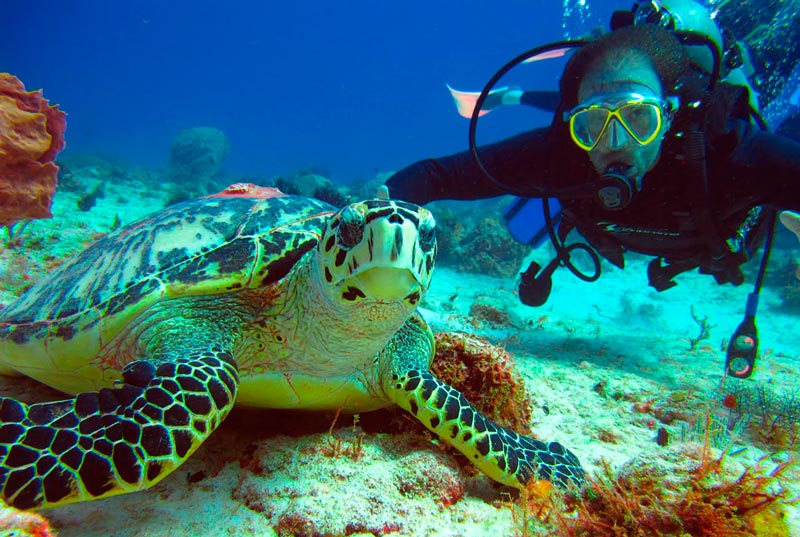 Resultado de imagen para buceo