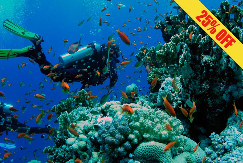 Best Cancun Scuba Diving Tours