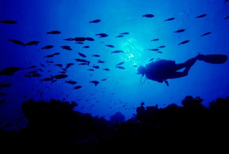 Buceo Certificados Nocturno (Próximamente)