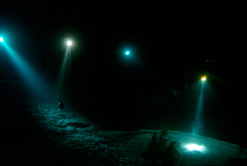 Night Time Scuba Dive for Certified Divers (Coming Soon)