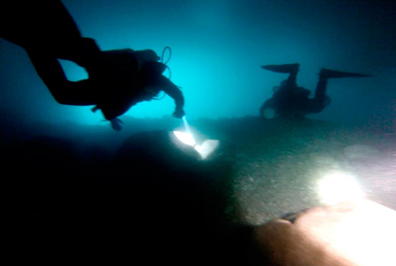 Night Time Scuba Dive for Certified Divers
