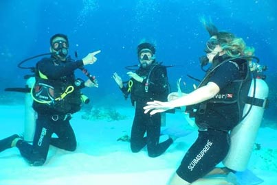 Foto 1 de  Cancun Scuba Dive Lesson 