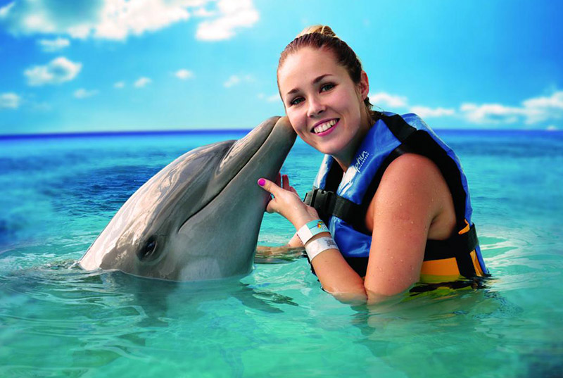 Dolphin Cat + Swim Adventure