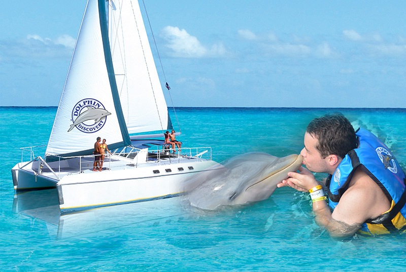 Dolphin Cat + Encounter (Próximamente)