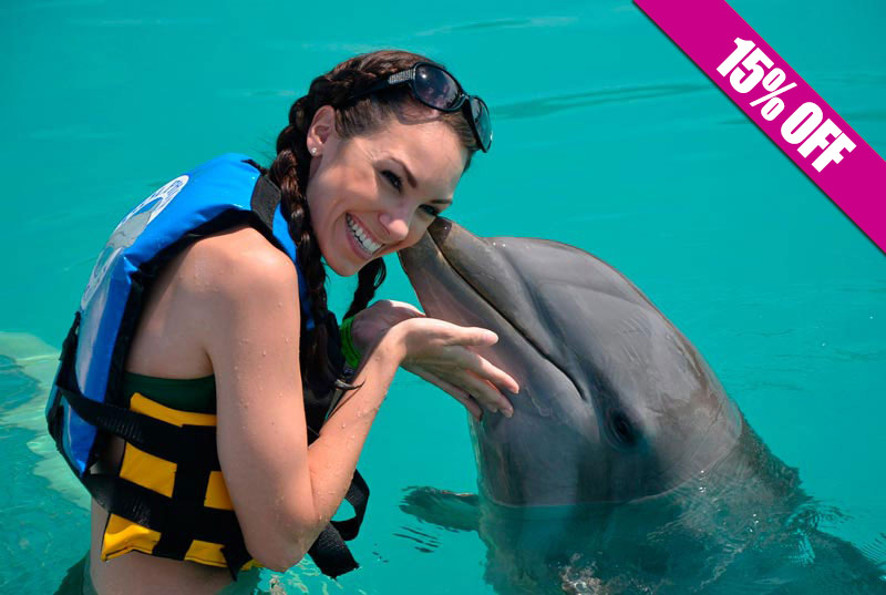 Dolphin Encounter (Próximamente)