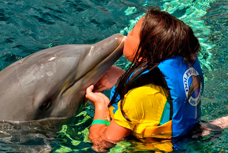 Royal Garrafón + Dolphin Encounter (Próximamente)