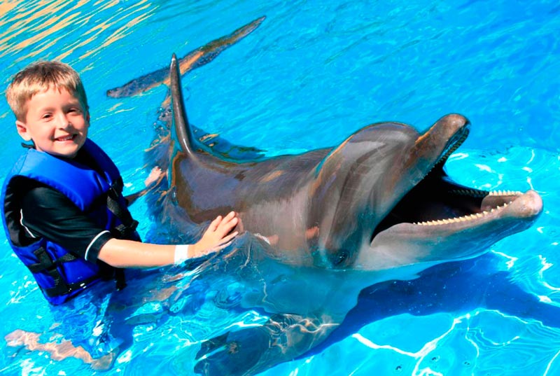Dolphin Encounter (Próximamente)