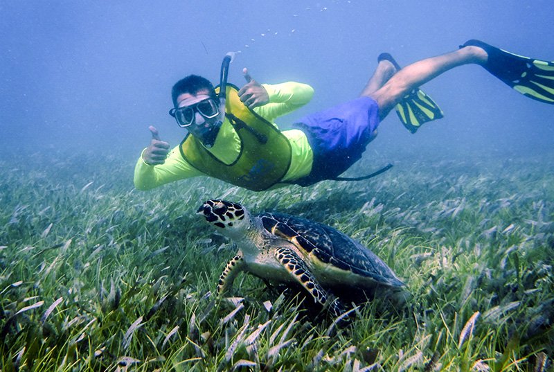 Combo: Parasail +Tour de Snorkel con 3 paradas (nado con tortugas)