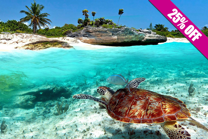 Tour guiado a ruinas mayas de Tulum + Playa del Carmen (Próximamente)