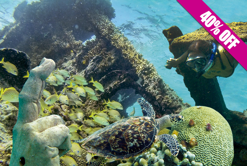 Snorkeling In Cancun With Turtles, Reef, Underwater Statues, Shipwreck And Underwater Cenote