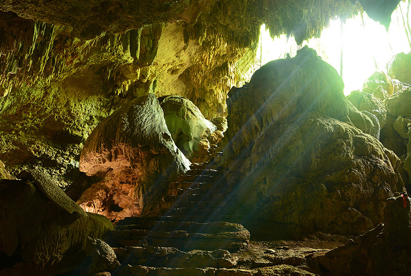 Tour Rio Secreto Plus (Coming Soon)