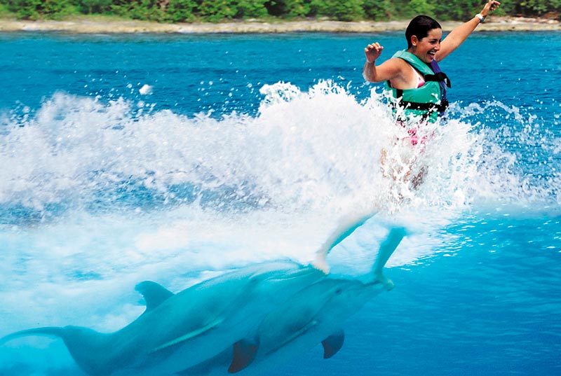Nado con delfines en Cancún y Riviera Maya