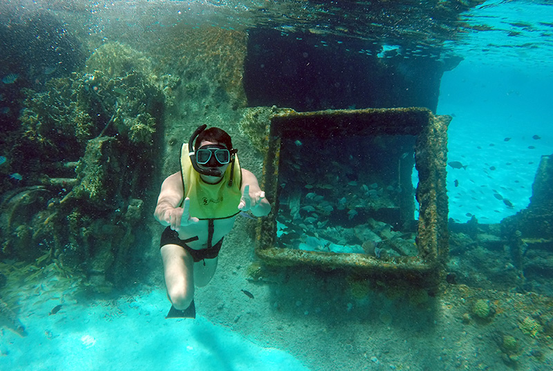 Esnórquel En Cancún Con Tortugas, Arrecife, Estatuas Submarinas, Naufragio Y Cenote Submarino