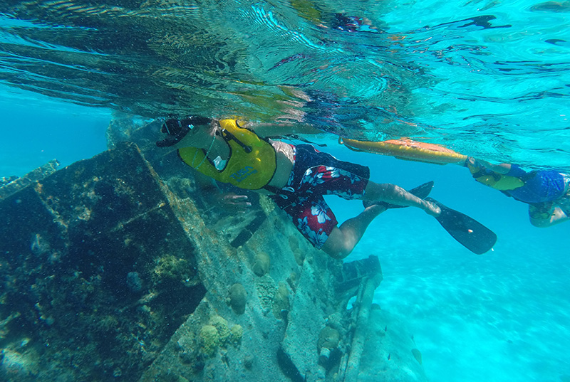 Esnórquel En Cancún Con Tortugas, Arrecife, Estatuas Submarinas, Naufragio Y Cenote Submarino