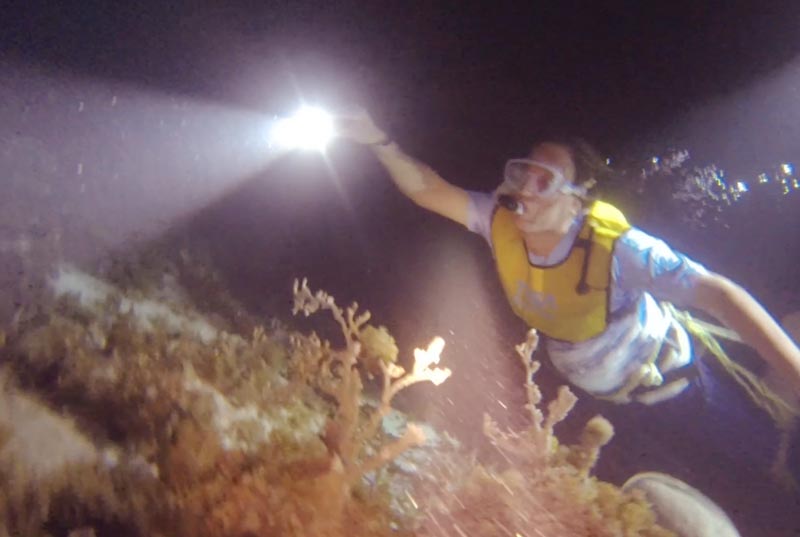 Thrilling Nights Experience (Xplor Fuego + Night Snorkeling) (Coming Soon)