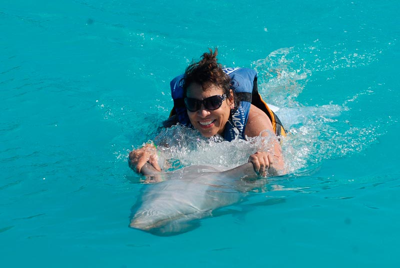 Royal Garrafón + Swim Adventure (Próximamente)