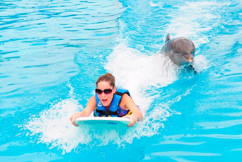Royal Garrafón + Swim Adventure (Próximamente)