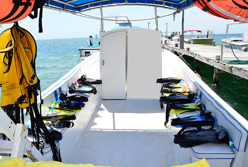 Boat equipped for whale shark tours
