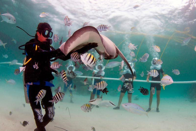 Tour guiado a ruinas mayas de Tulum + Eco Parque Xel-Ha Todo Incluido (Próximamente)