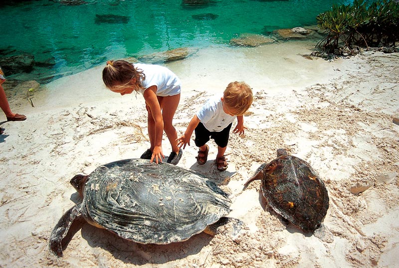 Xcaret Park Admission Tickets.