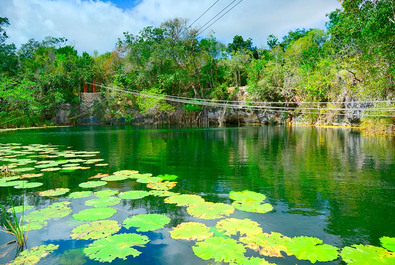Tour Xenotes Oasis Maya (transporte + admisión + comida gourmet + equipo + actividades) (Próximamente)