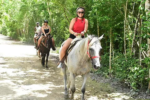 Horseback Riding Jungle Tour 