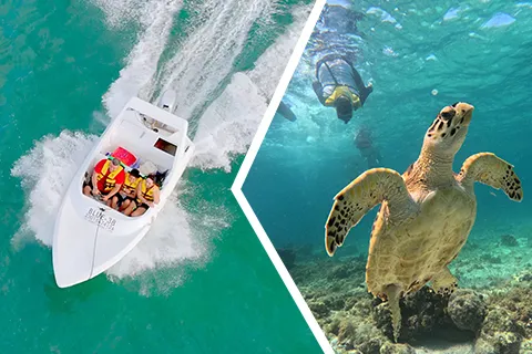 Jungle Tour en Speedboat y Snorkeling en Cancun