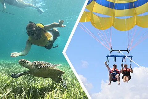 Paquete De Tour Swim And Fly.