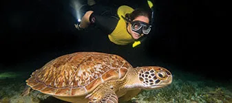 Moonlight Bioluminescence Snorkeling Tour Cancun