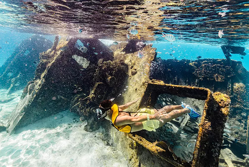 Paquete De Tour Swim And Fly