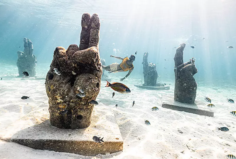 Paquete De Tour Swim And Fly