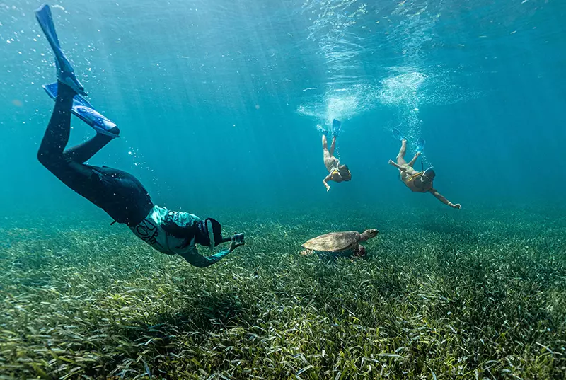snorkeling , parasail