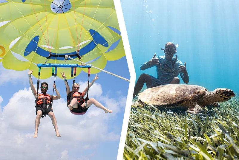 Paquete De Tour Swim And Fly