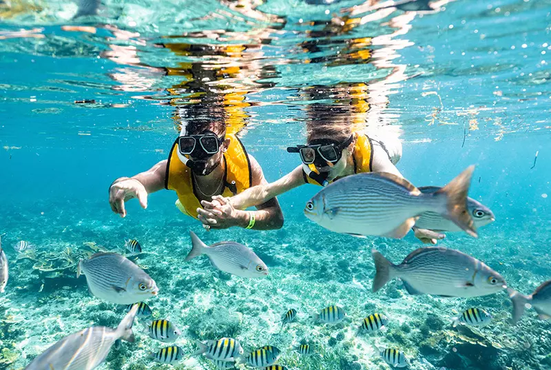 Swim and Ride tours in Cancun