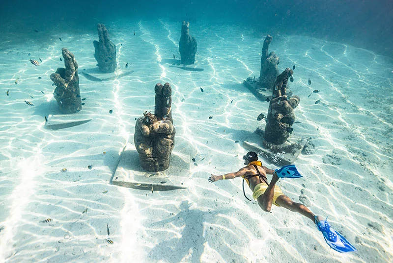 Swim turtles and mayan ruins in cancun