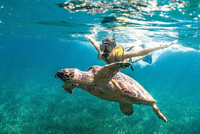 snorkel ruinas mayas