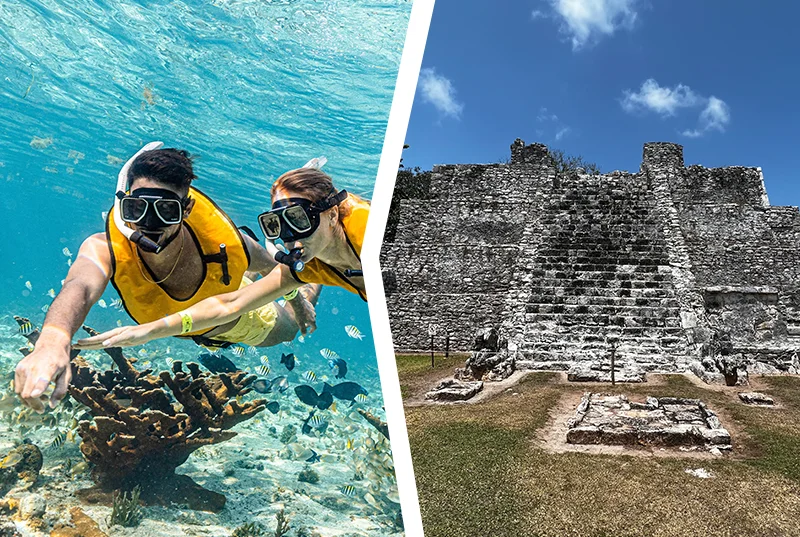 Swim turtles and mayan ruins in cancun