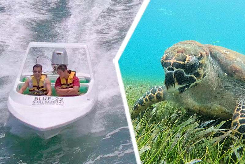 Jungle Speedboat and Snorkeling in Cancun