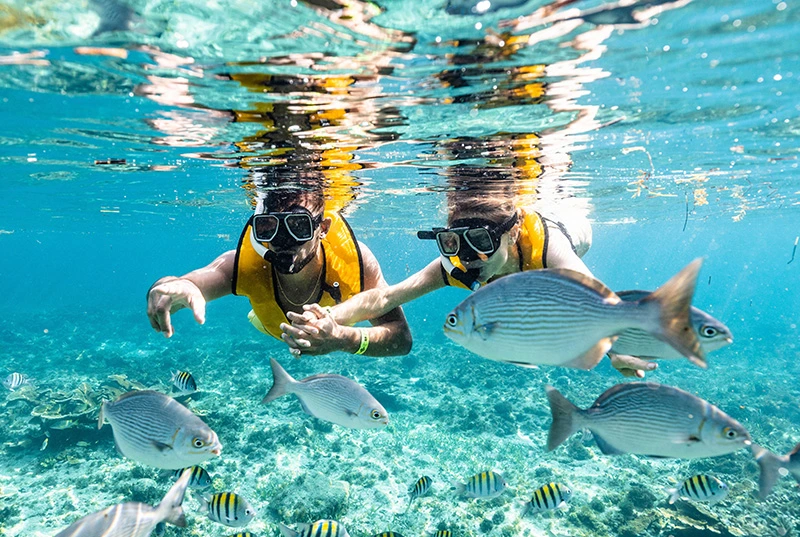 Jungle Tour en Speedboat y Snorkeling en Cancún con Transportación