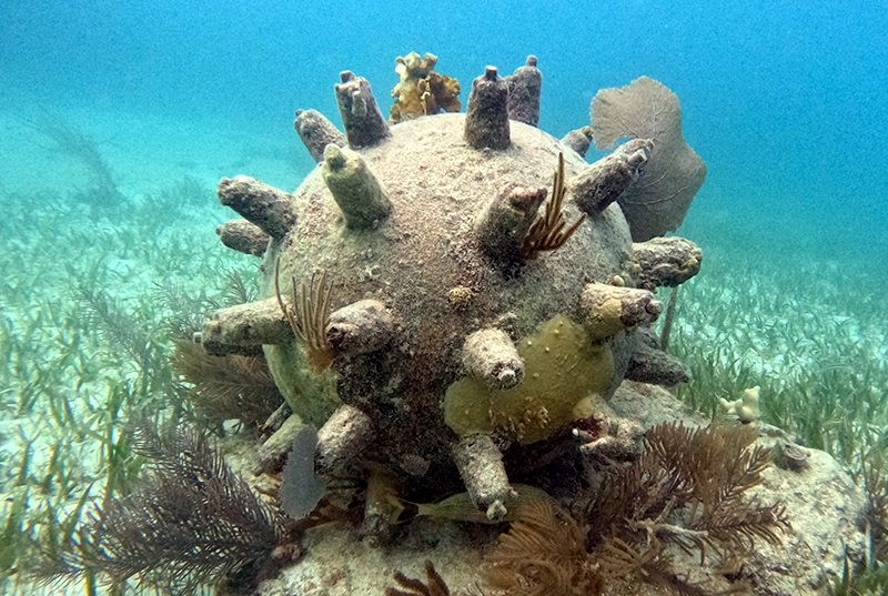 Explore The Submarine Beauties With Our Snorkel Tour At Nizuc