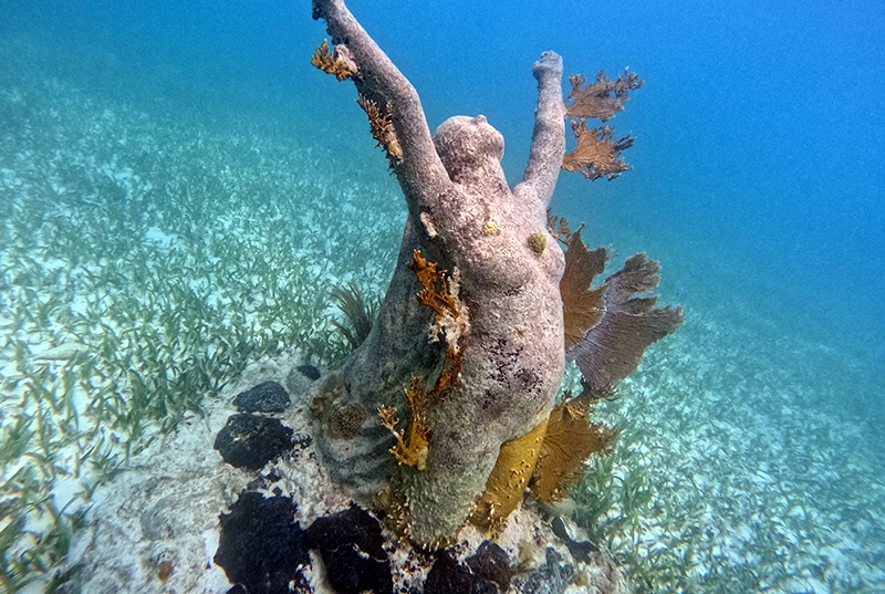 Explore The Submarine Beauties With Our Snorkel Tour At Nizuc