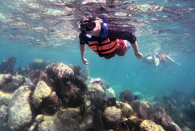 Explore The Submarine Beauties With Our Snorkel Tour At Nizuc