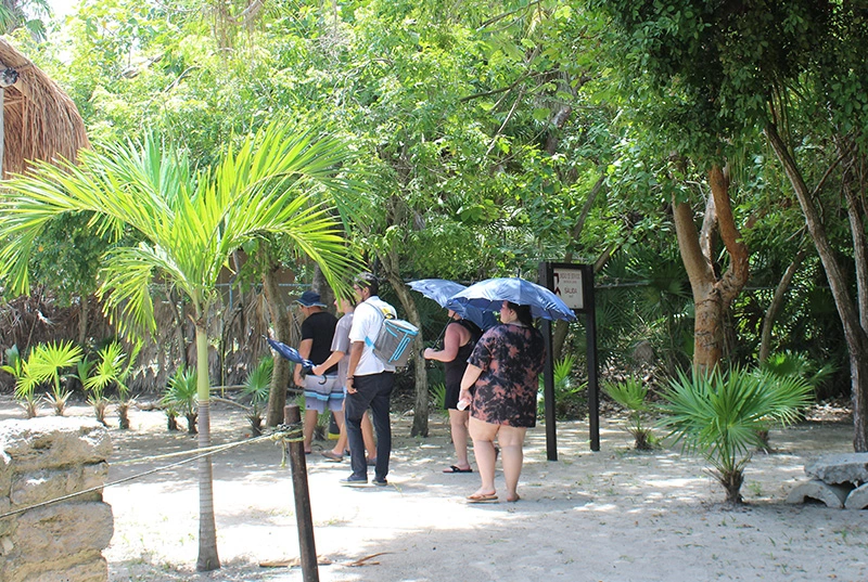 Discover the Mayan Ruins El Meco in Cancun