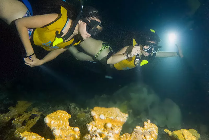 Catamaran Oceanix Essential Cancun