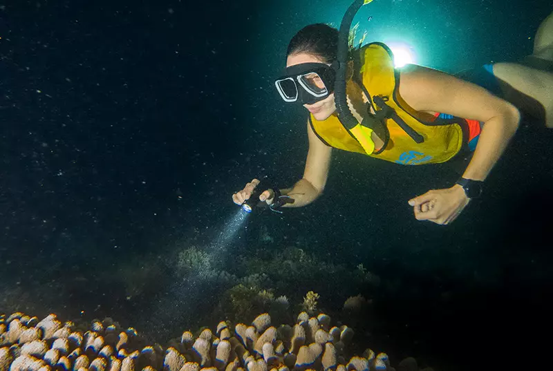 Catamaran Oceanix Essential Cancun